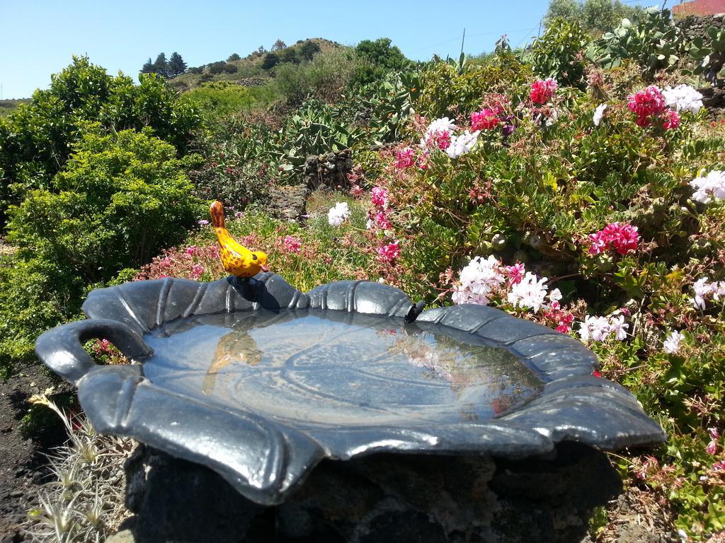 San Andrés Casa Rural El Valle מראה חיצוני תמונה